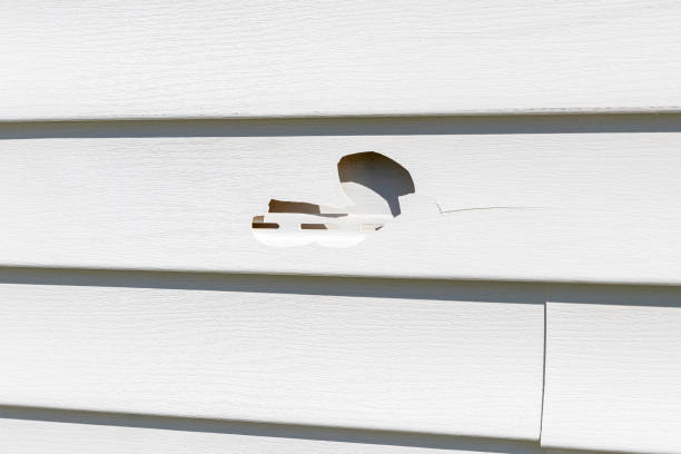 Best Vinyl Siding Installation  in Orland, CA